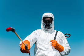 Trusted El Verano, CA Pest Control Experts